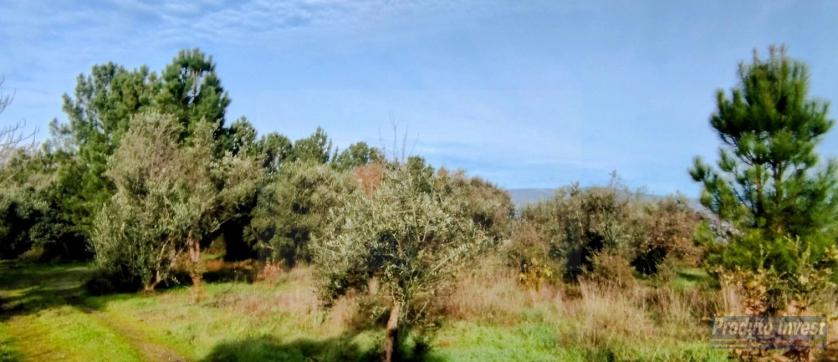 Terreno para Venda em Fundão, Valverde, Donas, A. Joanes, A. Nova Cabo Foto 15