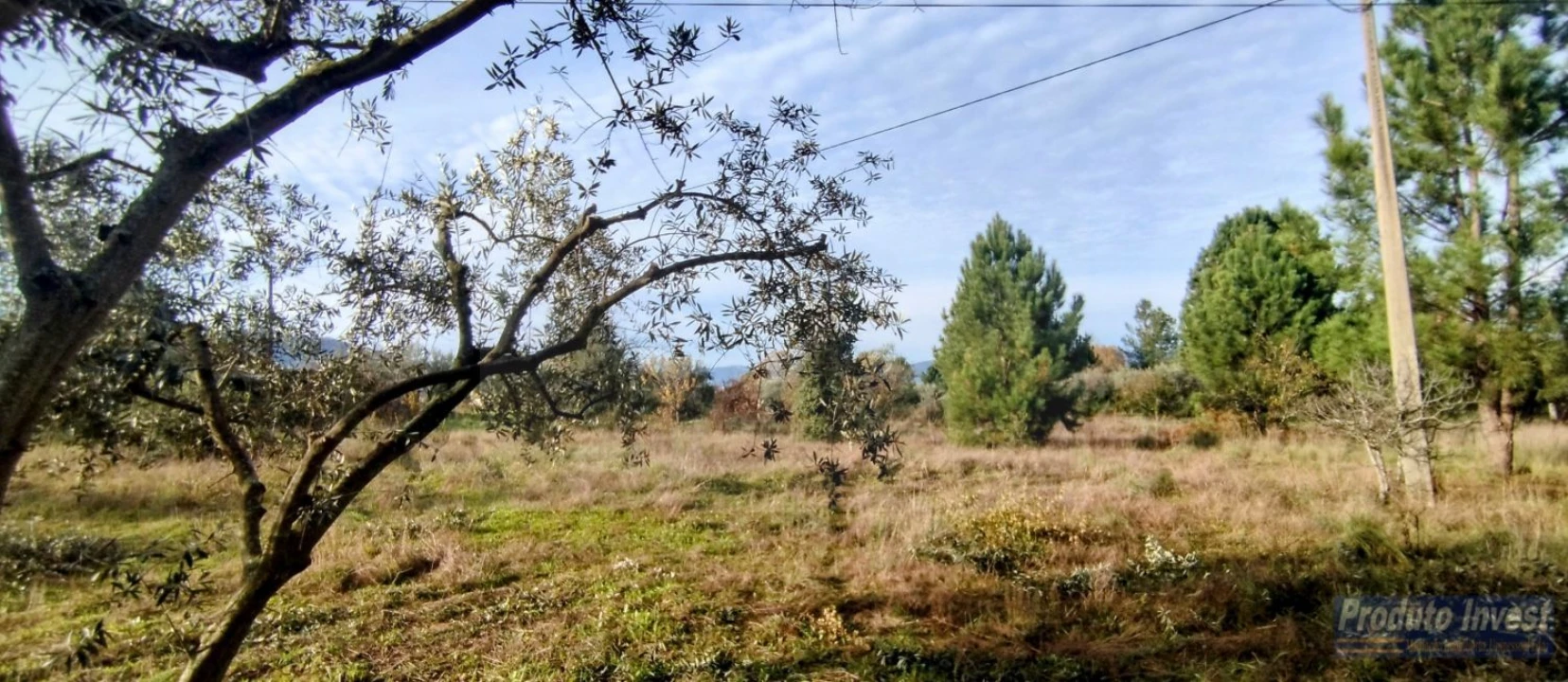 Terreno para Venda em Fundão, Valverde, Donas, A. Joanes, A. Nova Cabo Foto 5