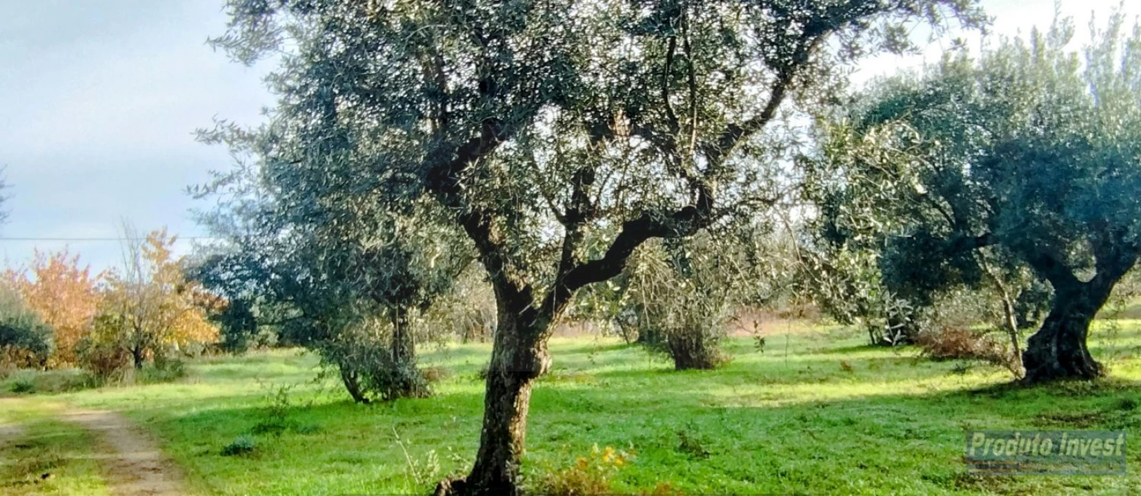 Terreno para Venda em Fundão, Valverde, Donas, A. Joanes, A. Nova Cabo Foto 9