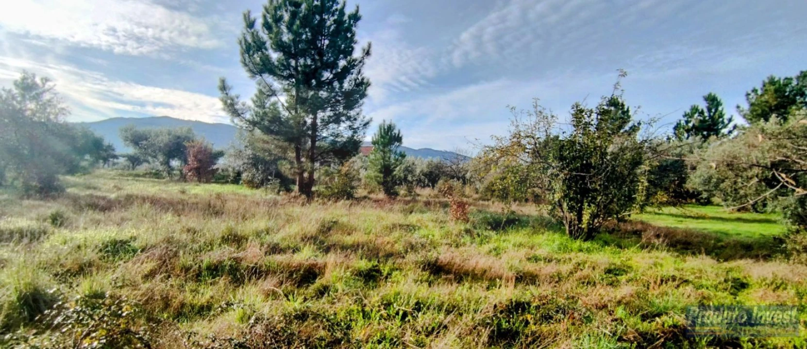 Terreno para Venda em Fundão, Valverde, Donas, A. Joanes, A. Nova Cabo Foto 26