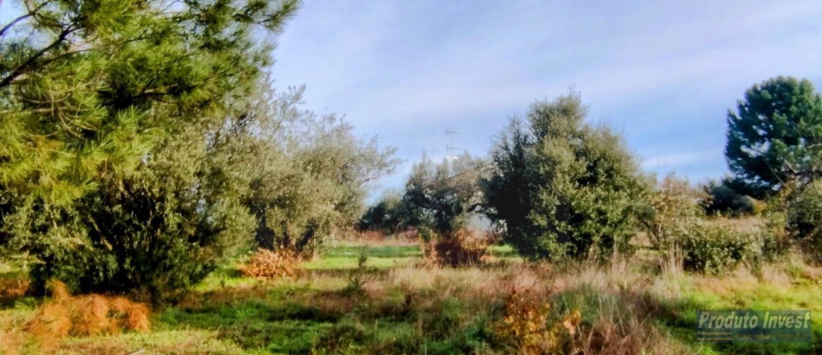 Terreno para Venda em Fundão, Valverde, Donas, A. Joanes, A. Nova Cabo Foto 14