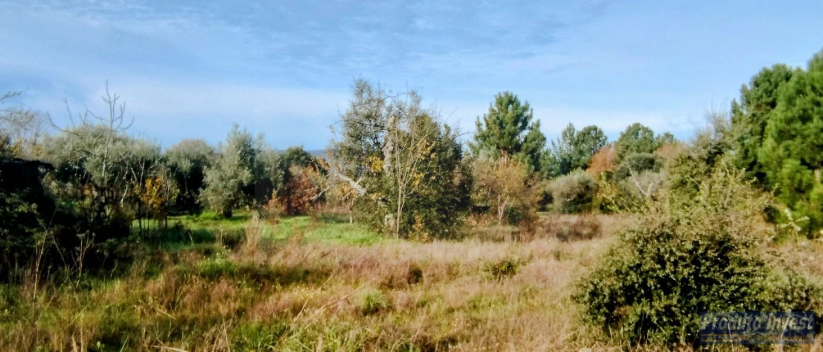 Terreno para Venda em Fundão, Valverde, Donas, A. Joanes, A. Nova Cabo Foto 22