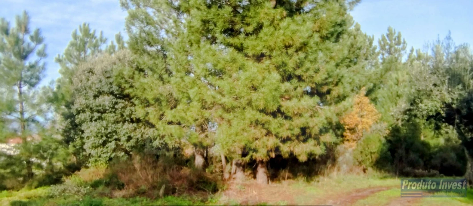 Terreno para Venda em Fundão, Valverde, Donas, A. Joanes, A. Nova Cabo Foto 13