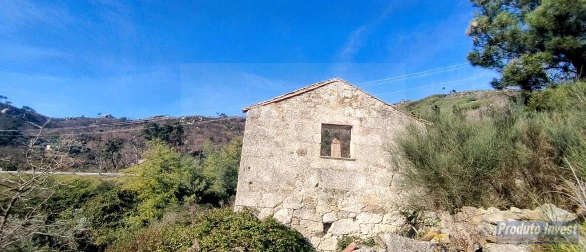 Quinta T0 para Venda em Alpedrinha Foto 13