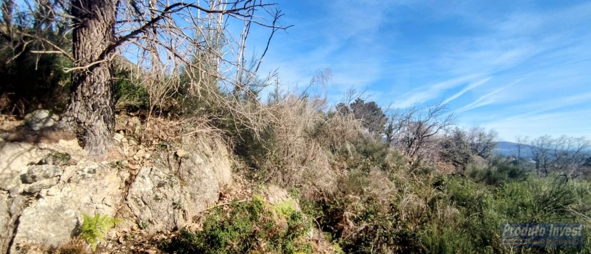 Quinta T0 para Venda em Alpedrinha Foto 10