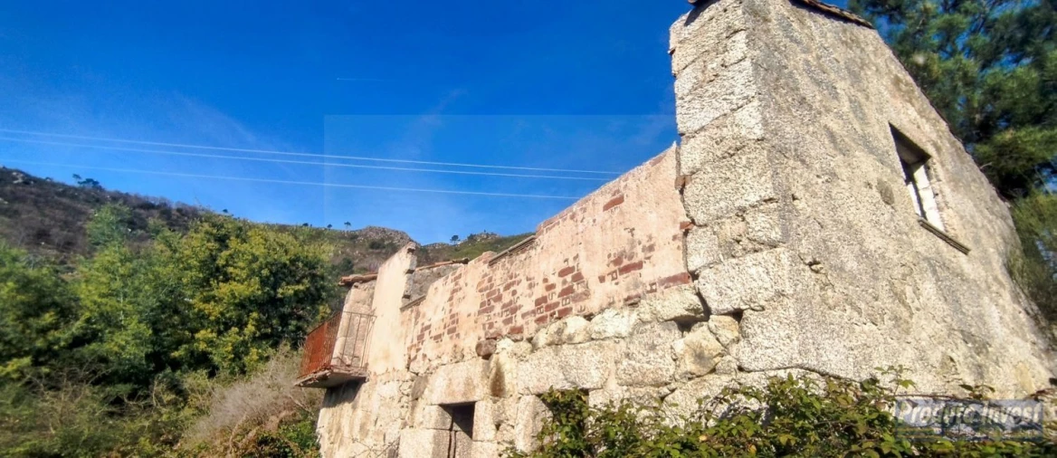 Quinta T0 para Venda em Alpedrinha Foto 14