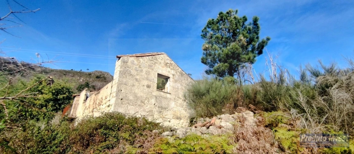 Quinta T0 para Venda em Alpedrinha Foto 4