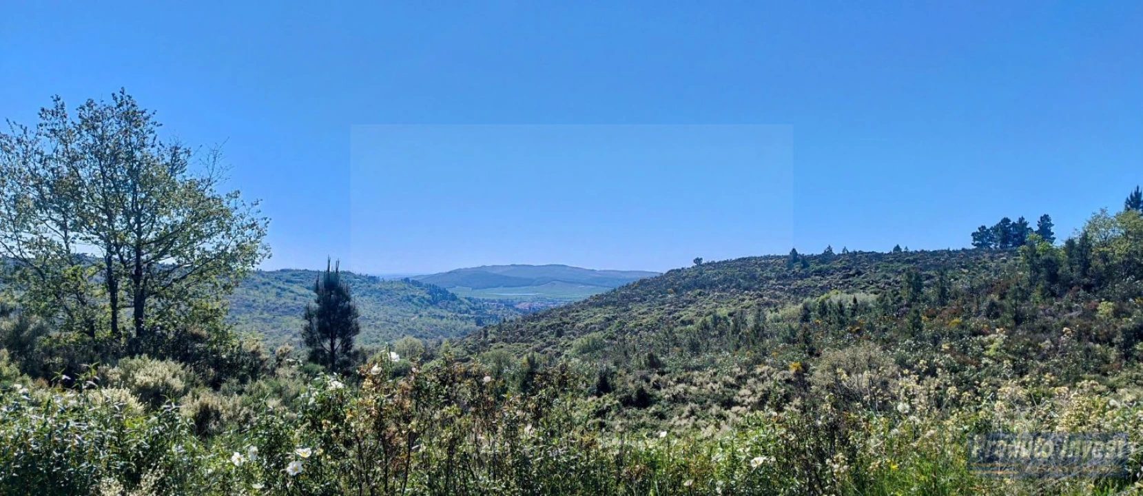 Terreno para Venda em Peraboa Foto 30