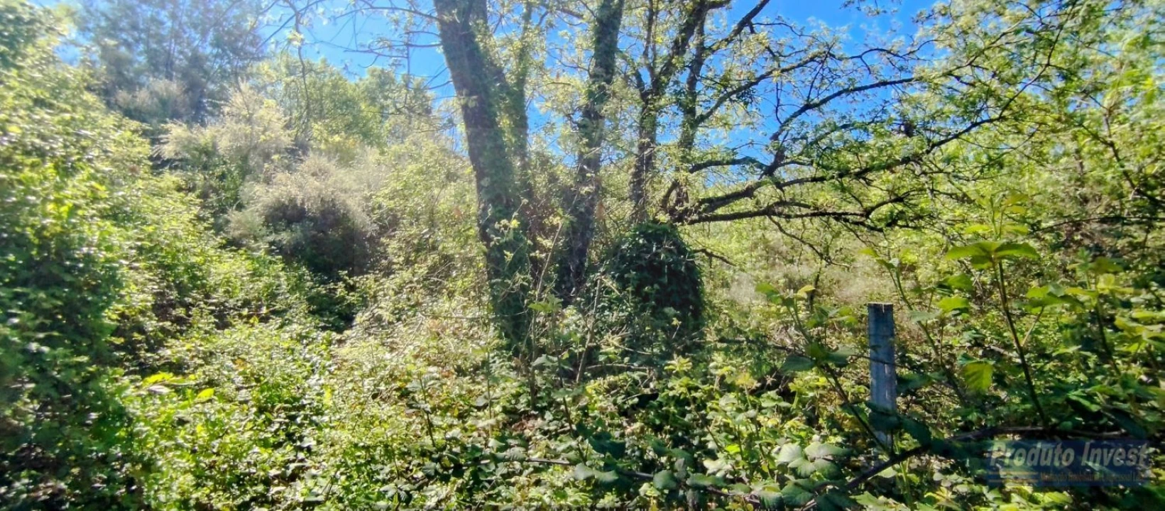 Terreno para Venda em Peraboa Foto 9