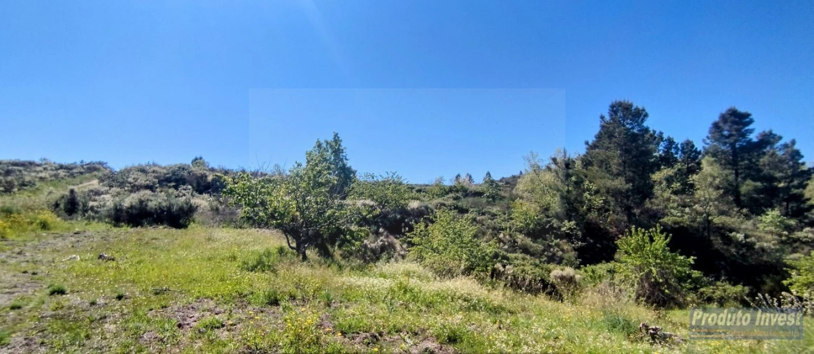 Terreno para Venda em Peraboa Foto 28