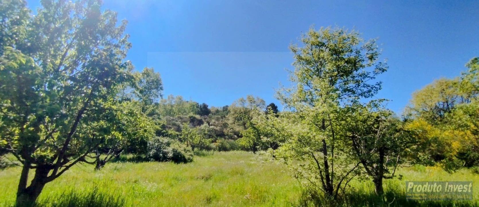 Terreno para Venda em Peraboa Foto 13