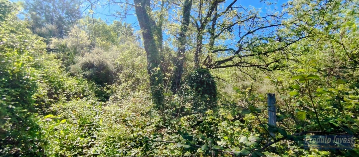 Terreno para Venda em Peraboa Foto 9