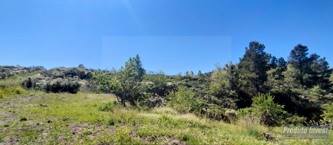 Terreno para Venda em Peraboa Foto 28