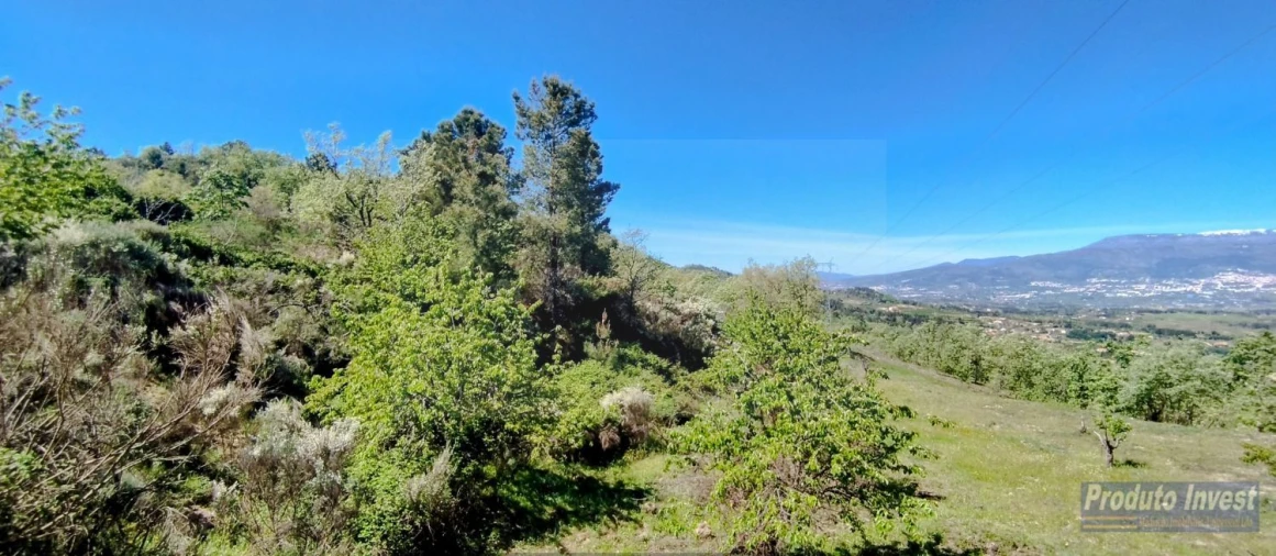 Terreno para Venda em Peraboa Foto 27