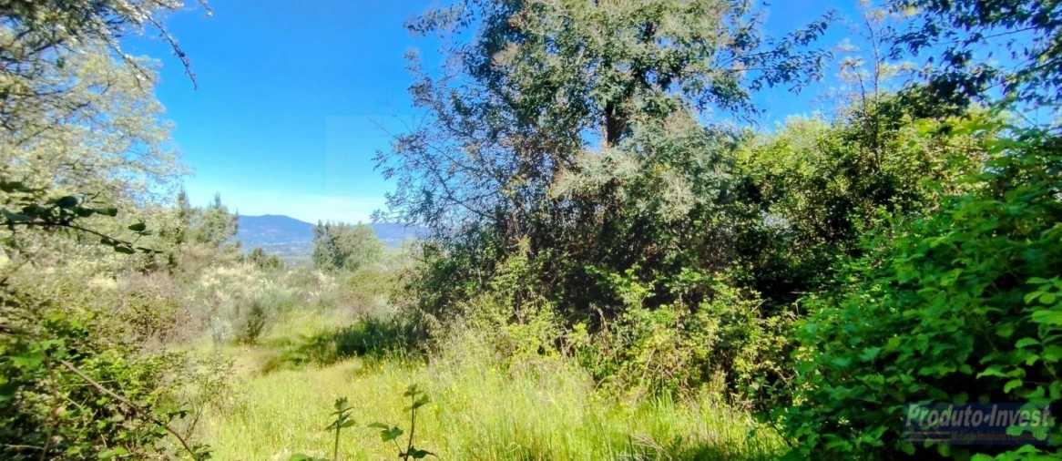 Terreno para Venda em Peraboa Foto 10