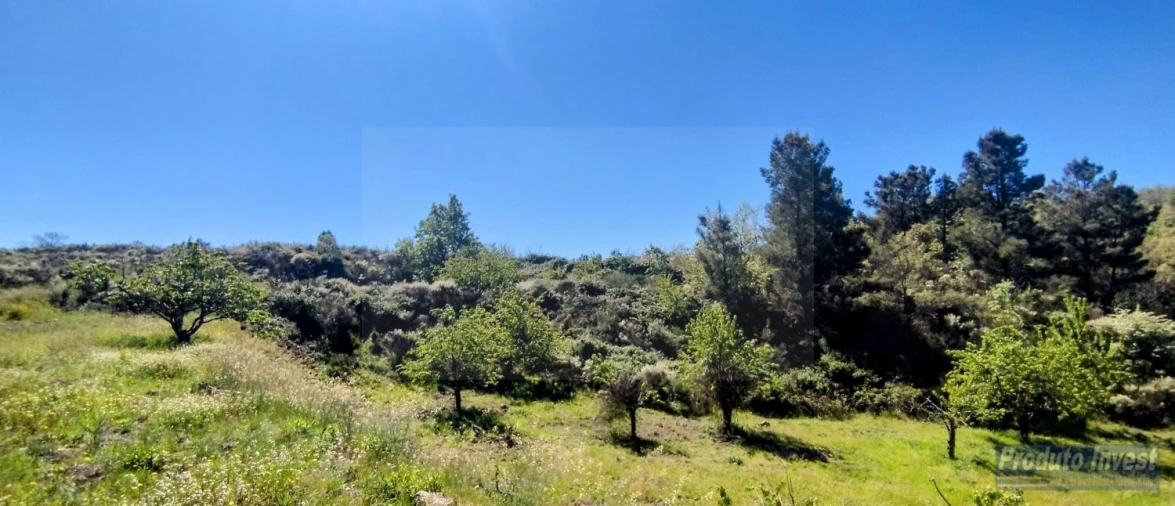 Terreno para Venda em Peraboa Foto 29