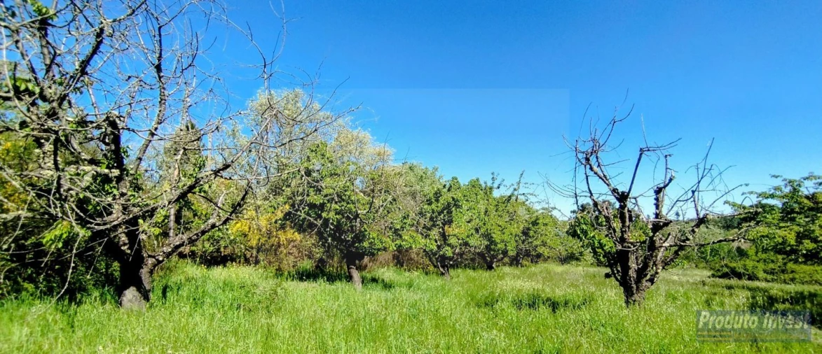 Terreno para Venda em Peraboa Foto 2