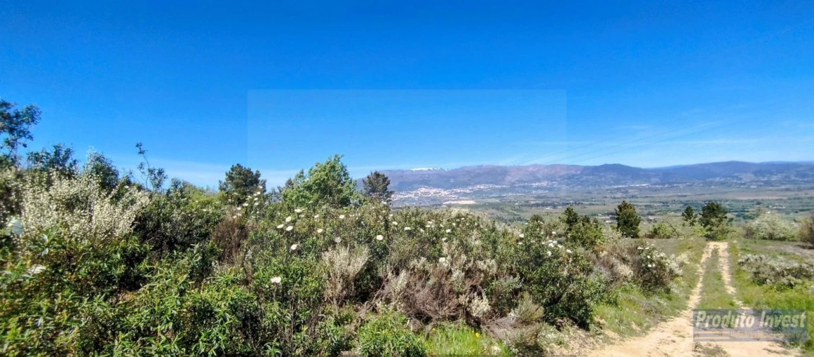 Terreno para Venda em Peraboa Foto 24