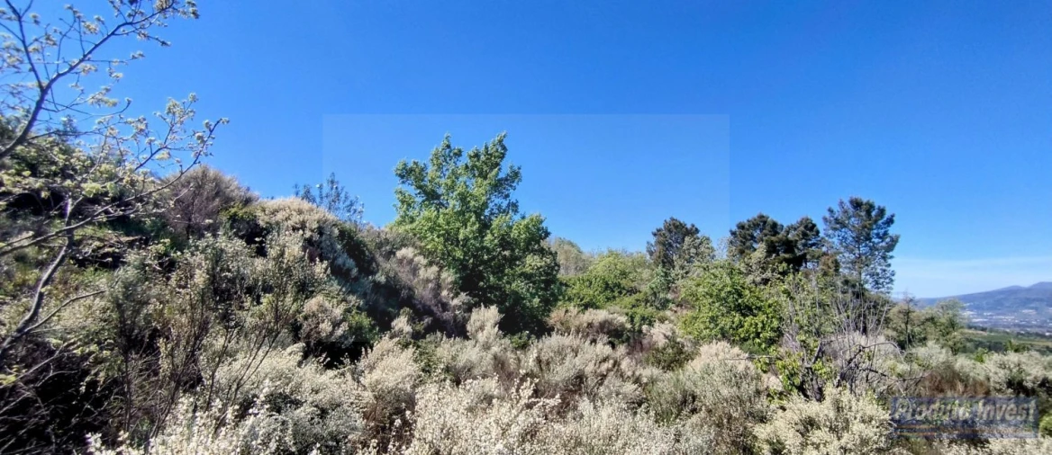 Terreno para Venda em Peraboa Foto 25