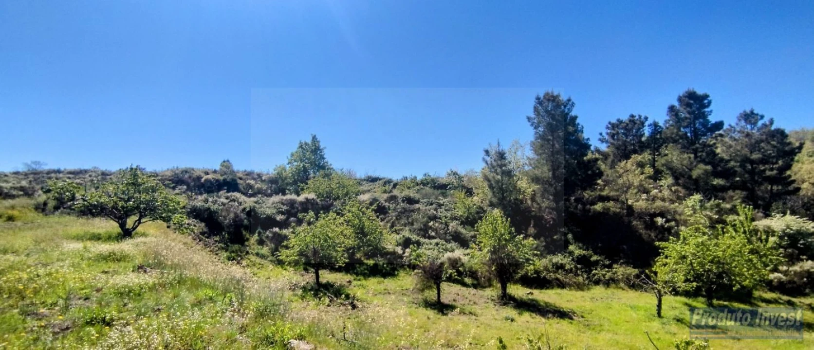 Terreno para Venda em Peraboa Foto 29