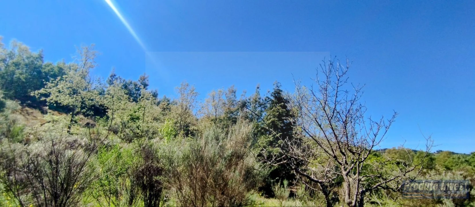 Terreno para Venda em Peraboa Foto 22