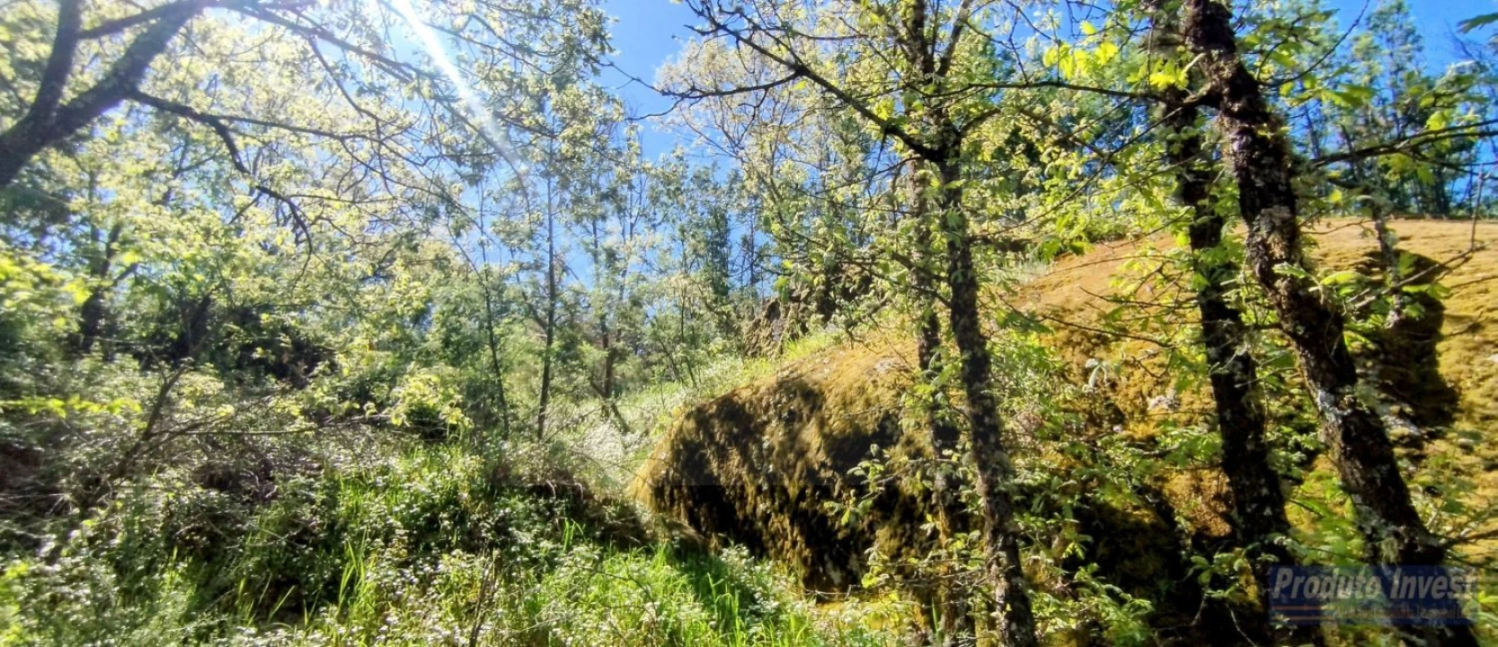 Terreno para Venda em Peraboa Foto 21