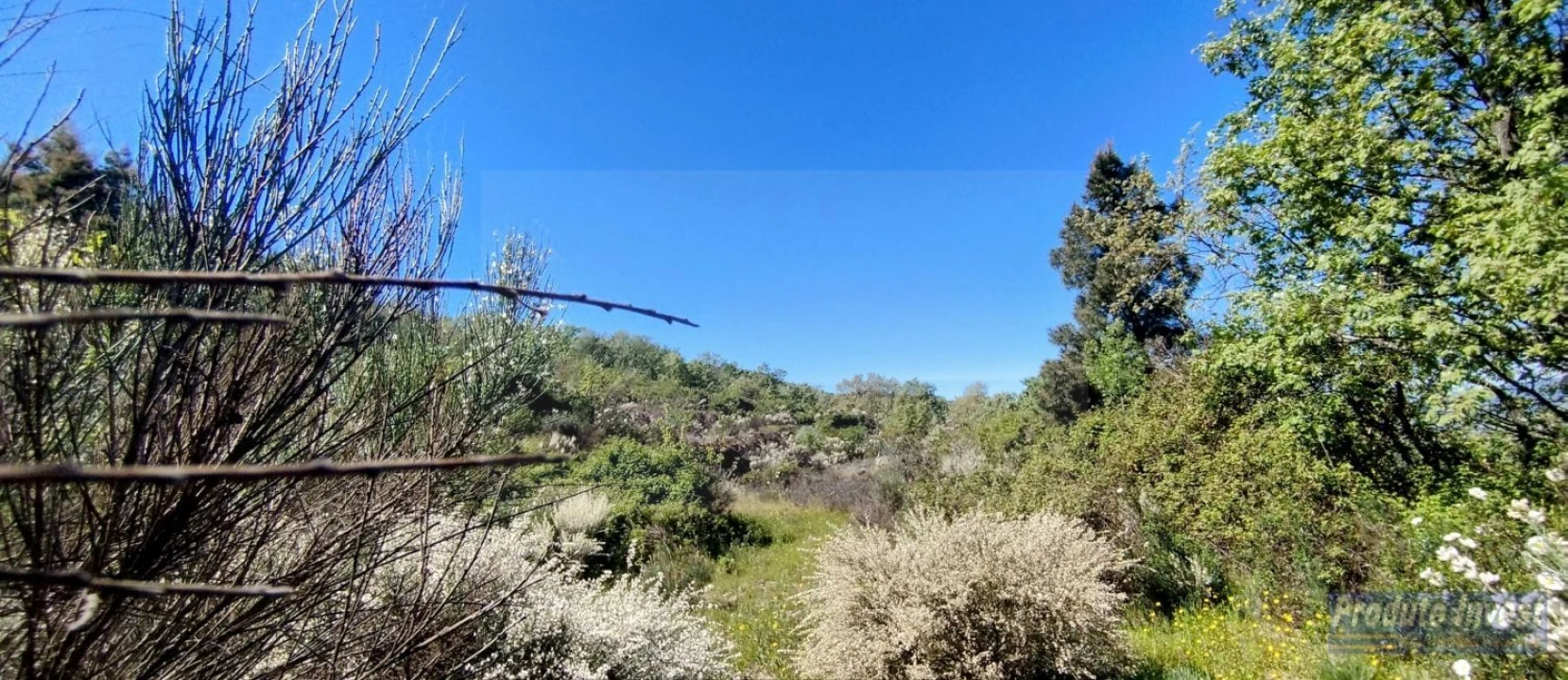 Terreno para Venda em Peraboa Foto 23