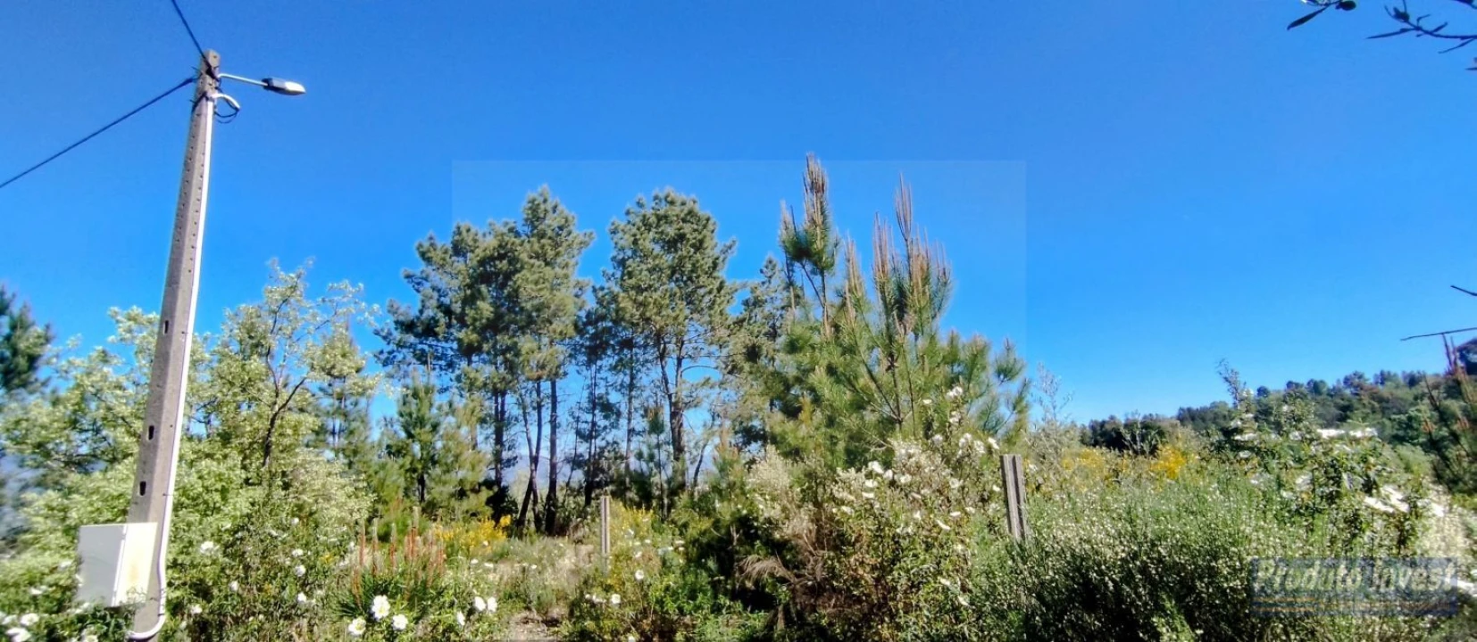 Terreno para Venda em Peraboa Foto 6