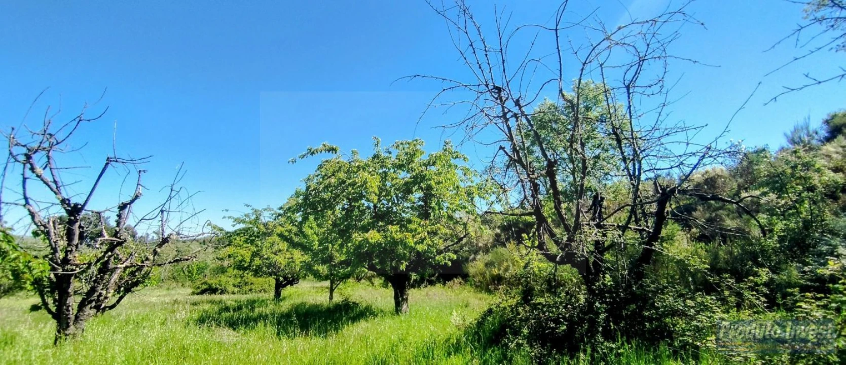 Terreno para Venda em Peraboa Foto 14