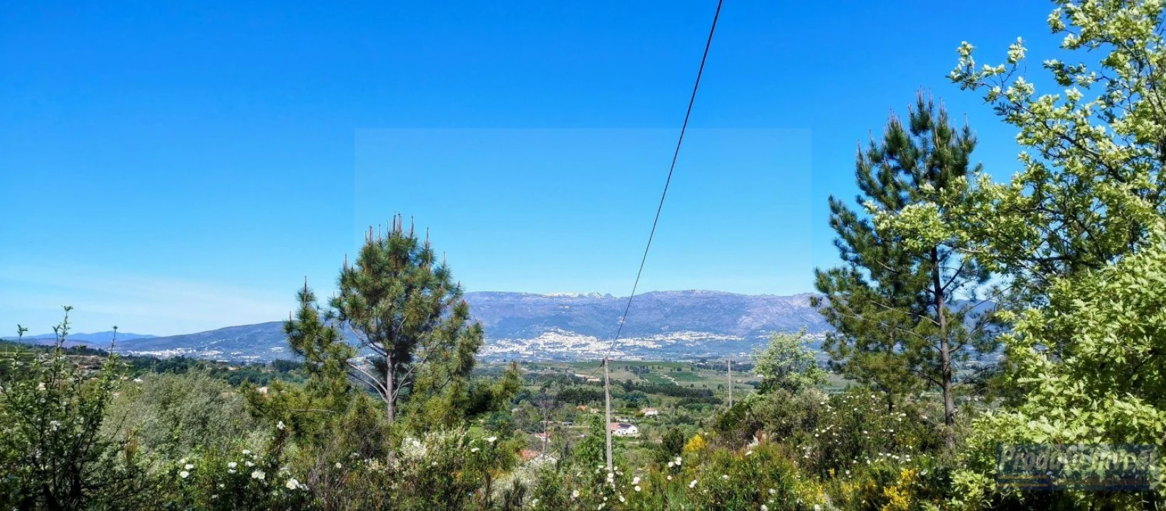 Terreno para Venda em Peraboa Foto 7