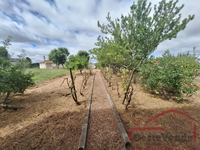 Moradia T2 para Venda em Peral Foto 58