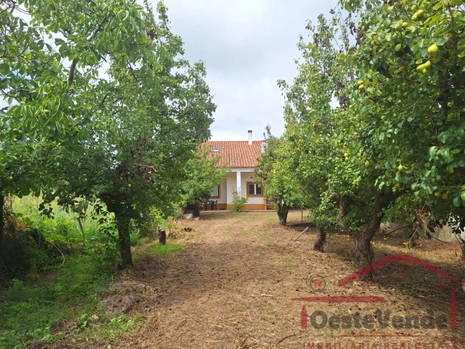 Moradia T2 para Venda em Peral Foto 3