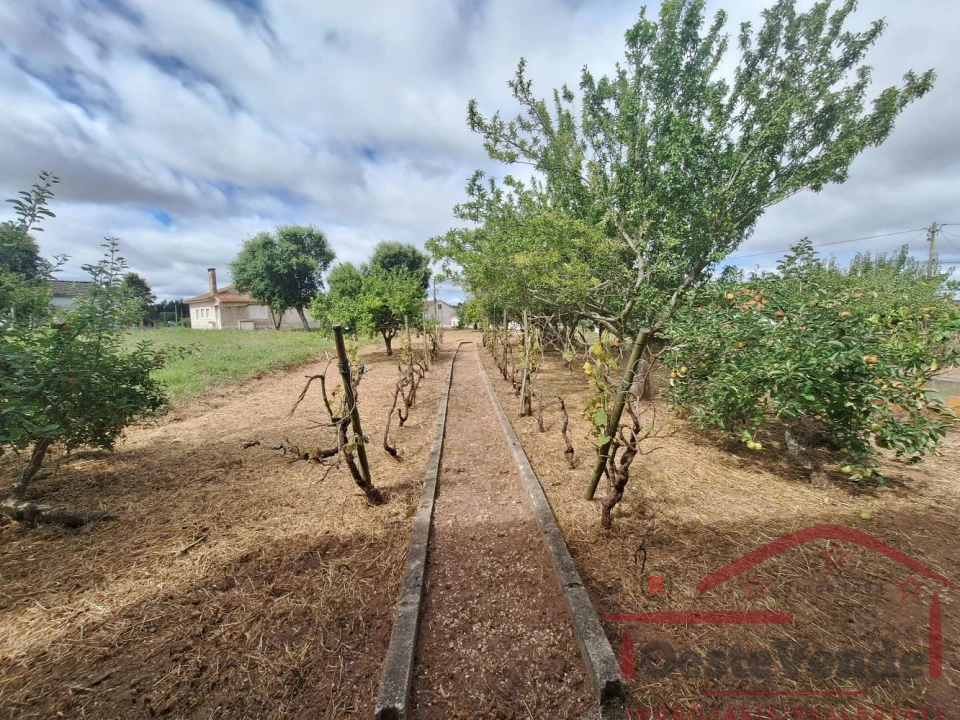 Moradia T2 para Venda em Peral Foto 58