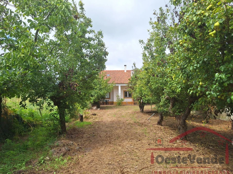 Moradia T2 para Venda em Peral Foto 3