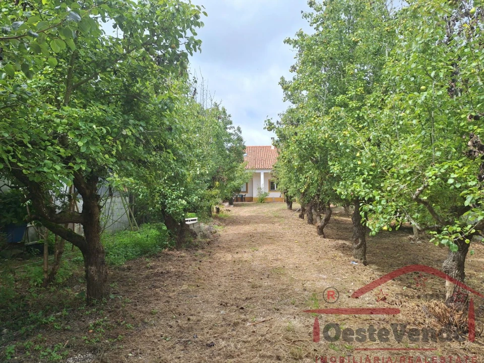 Moradia T2 para Venda em Peral Foto 2