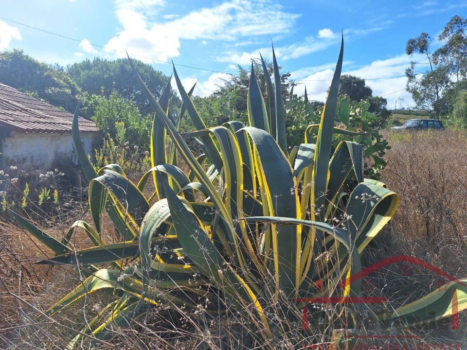 Moradia T2 para Venda em Painho e Figueiros Foto 30