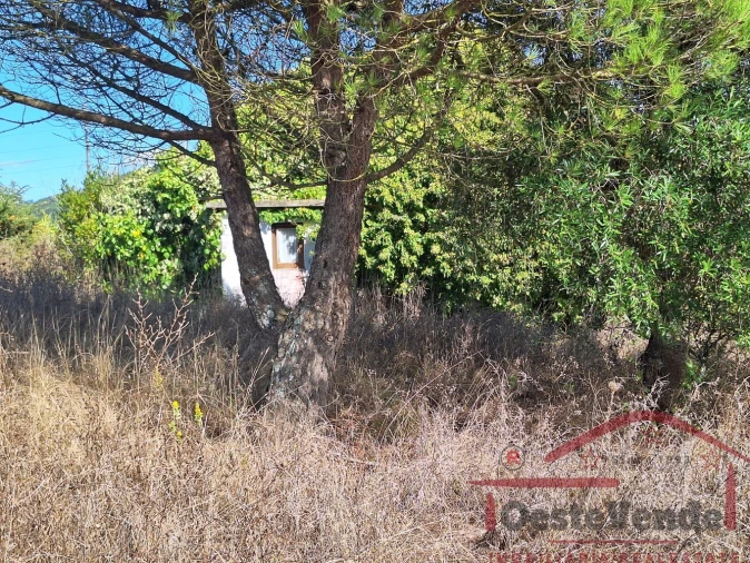 Moradia T2 para Venda em Painho e Figueiros Foto 35