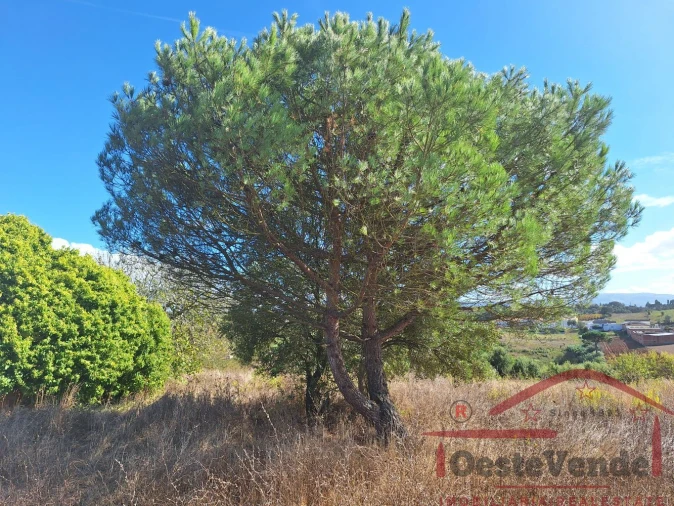 Moradia T2 para Venda em Painho e Figueiros Foto 33