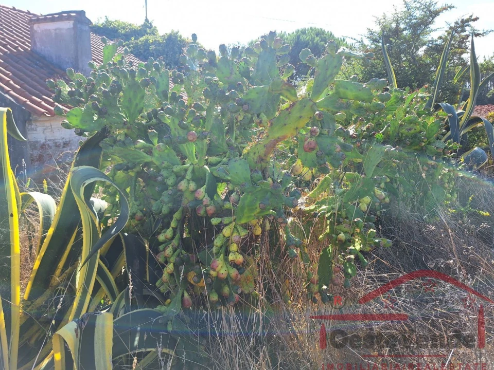 Moradia T2 para Venda em Painho e Figueiros Foto 31