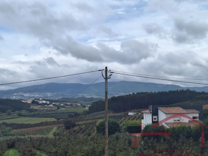 Terreno para Venda em Cadaval e Pêro Moniz Foto 14