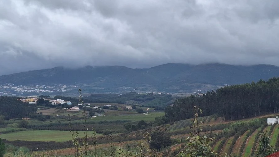 Terreno para Venda em Cadaval e Pêro Moniz