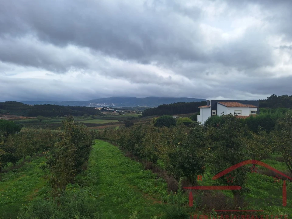 Terreno para Venda em Cadaval e Pêro Moniz Foto 16