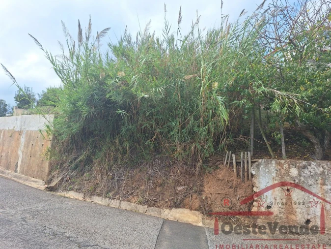 Terreno para Venda em Cadaval e Pêro Moniz Foto 14