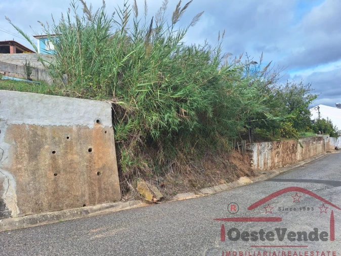 Terreno para Venda em Cadaval e Pêro Moniz Foto 12
