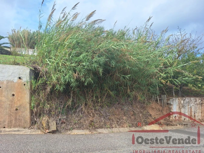 Terreno para Venda em Cadaval e Pêro Moniz Foto 13