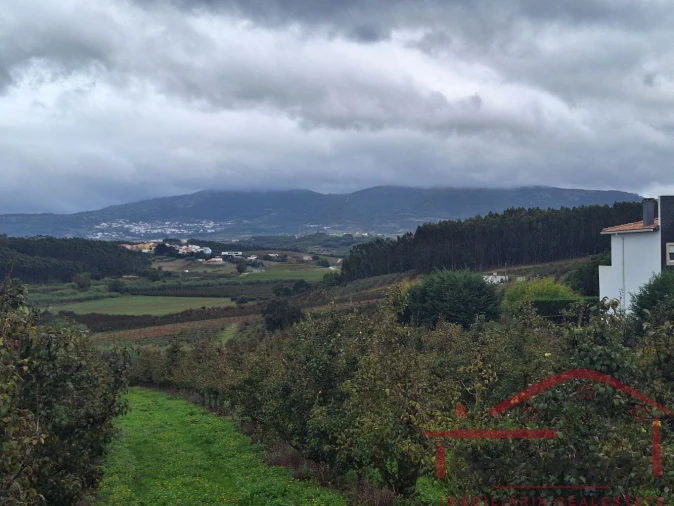 Terreno para Venda em Cadaval e Pêro Moniz Foto 15