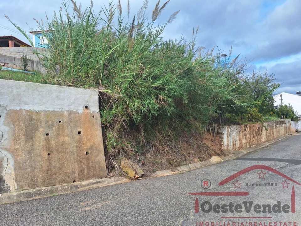 Terreno para Venda em Cadaval e Pêro Moniz Foto 12