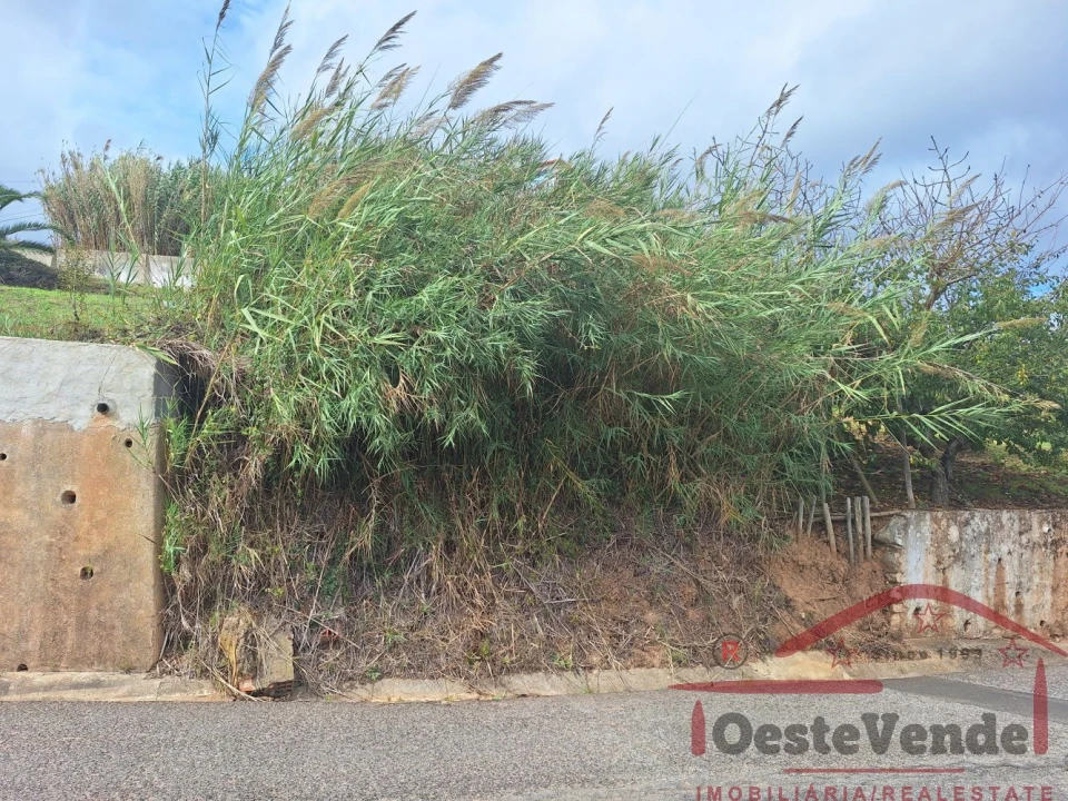 Terreno para Venda em Cadaval e Pêro Moniz Foto 13