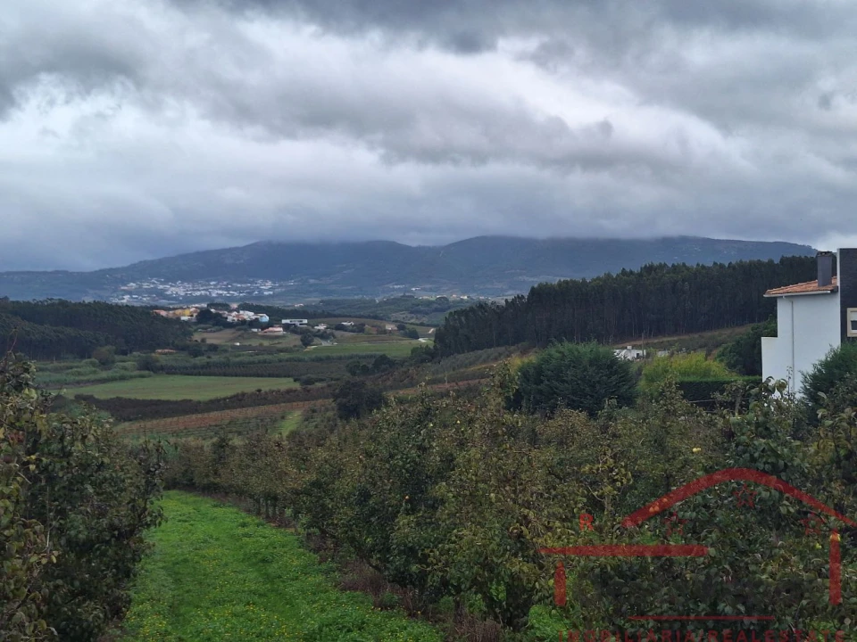 Terreno para Venda em Cadaval e Pêro Moniz Foto 15