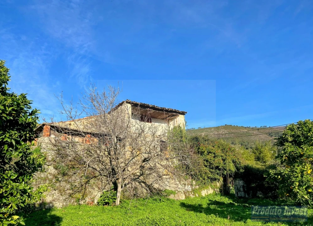 Quinta T3 para Venda em Alpedrinha Foto 8